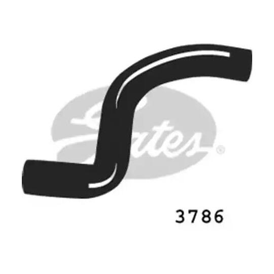 3786 - Radiator Hose 