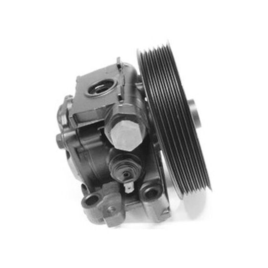 PI1273 - Hydraulic Pump, steering system 