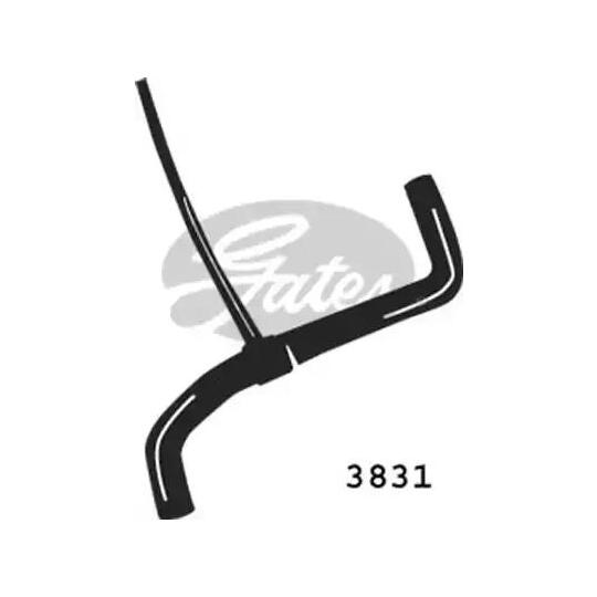 3831 - Radiator Hose 