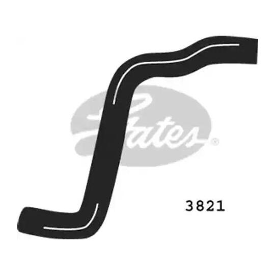 3821 - Radiator Hose 