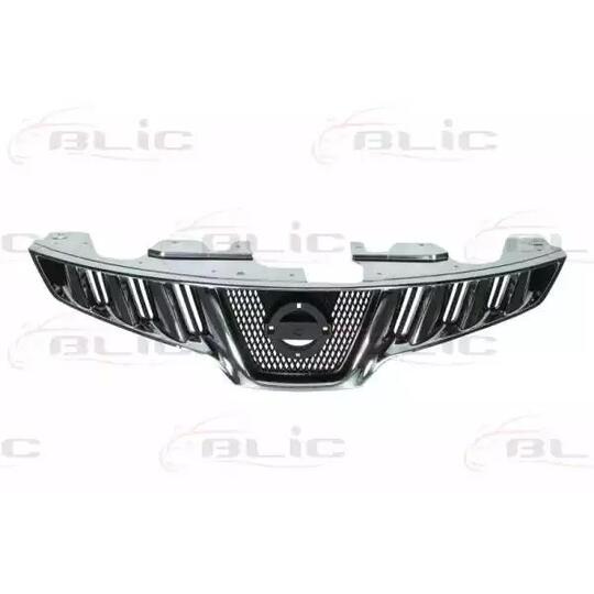 6502-07-1619992P - Radiator Grille 