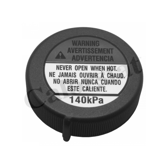 RC0149 - Sealing Cap, coolant tank 