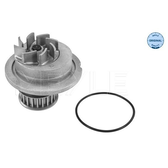 29-13 220 0001 - Water pump 