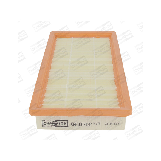 CAF100712P - Air filter 