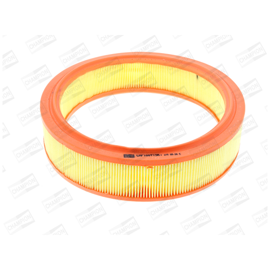 CAF100713R - Air filter 