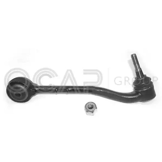 0391873 - Track Control Arm 