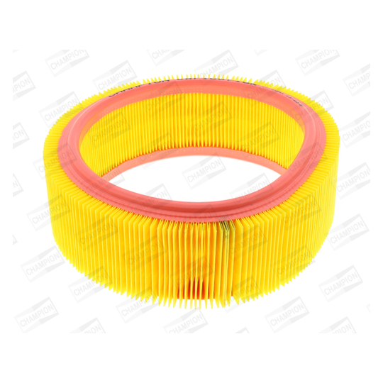 CAF100716R - Air filter 