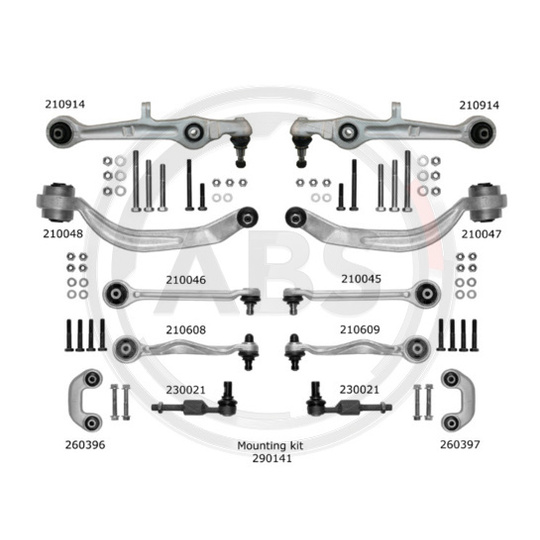 219901 - Suspension Kit 