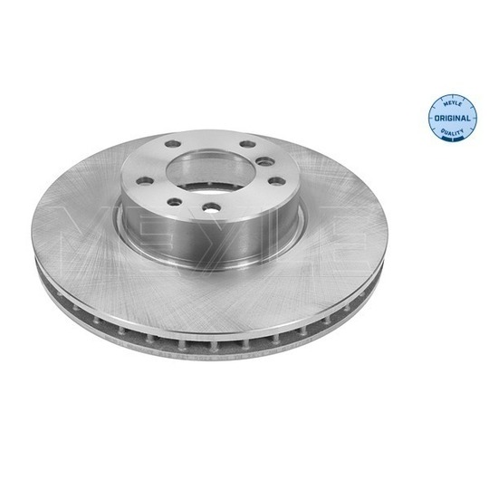 315 521 3024 - Brake Disc 