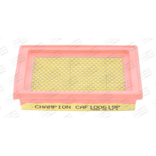 CAF100619P - Air filter 