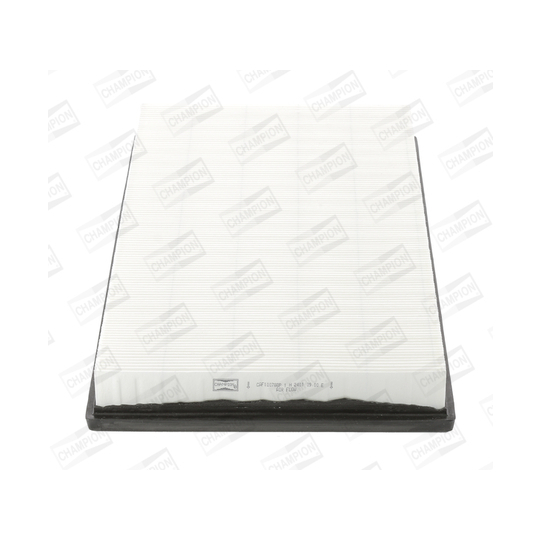 CAF100788P - Air filter 