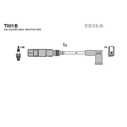 T081B - Ignition Cable Kit 