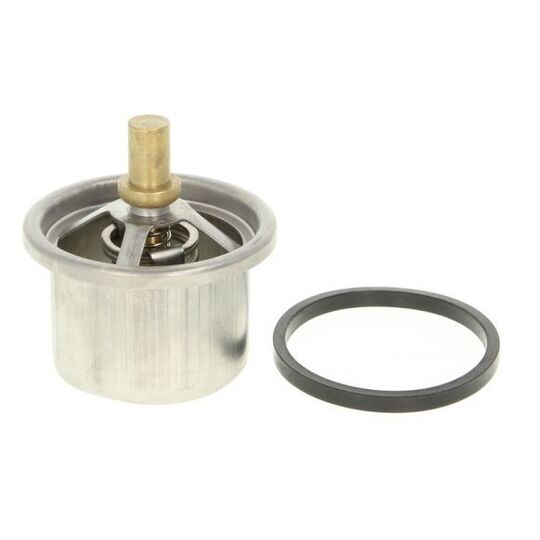 D2DA005TT - Thermostat, coolant 