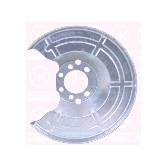 5062879 - Splash Panel, brake disc 