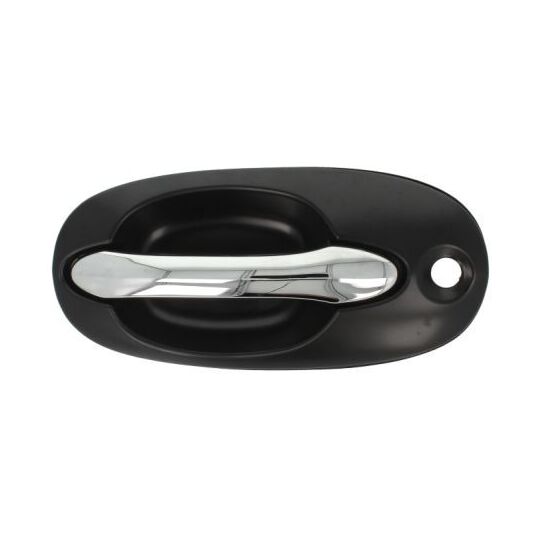 6010-53-012401P - Door Handle 