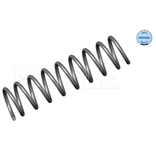 314 739 0003 - Coil Spring 