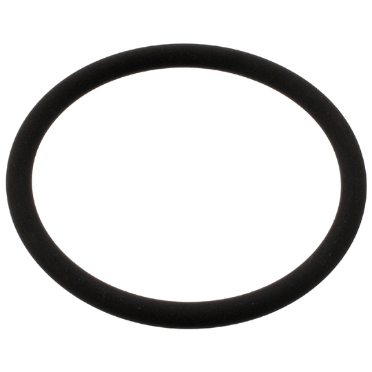 45546 - Seal Ring 