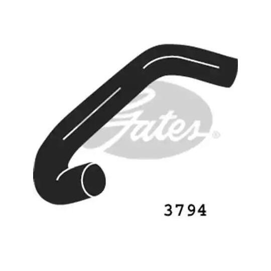 3794 - Radiator Hose 