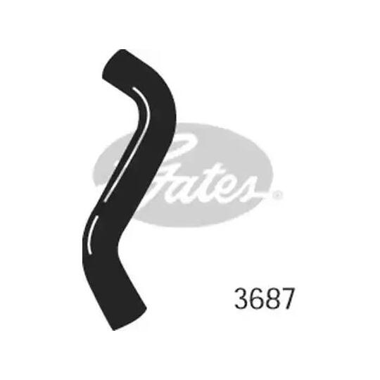 3687 - Radiator Hose 