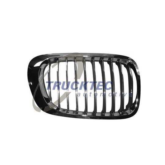 08.62.254 - Radiator Grille 