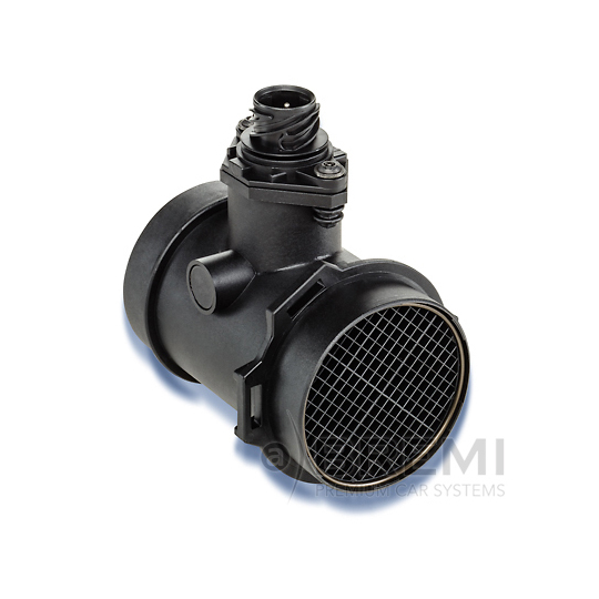 30173 - Air Mass Sensor 