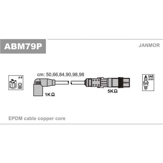 ABM79P - Ignition Cable Kit 