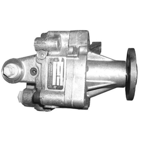 PI0601 - Hydraulic Pump, steering system 