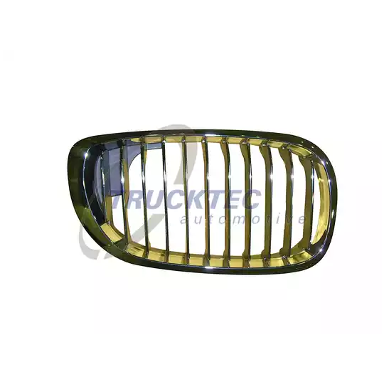 08.62.257 - Radiator Grille 