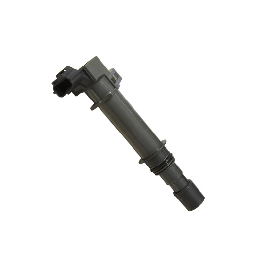 134056 - Ignition coil 