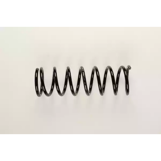 36-219247 - Coil Spring 