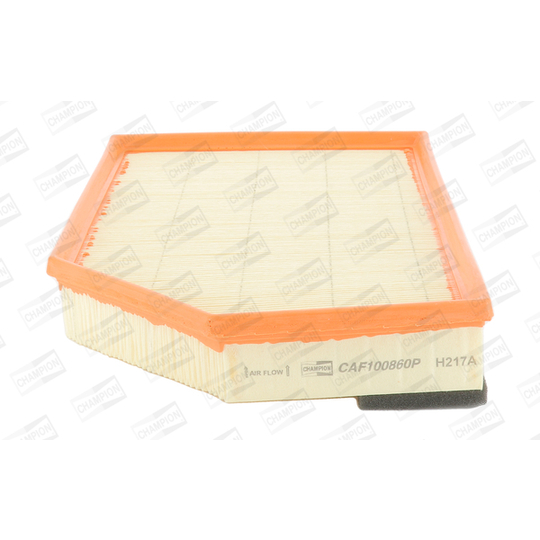 CAF100860P - Air filter 