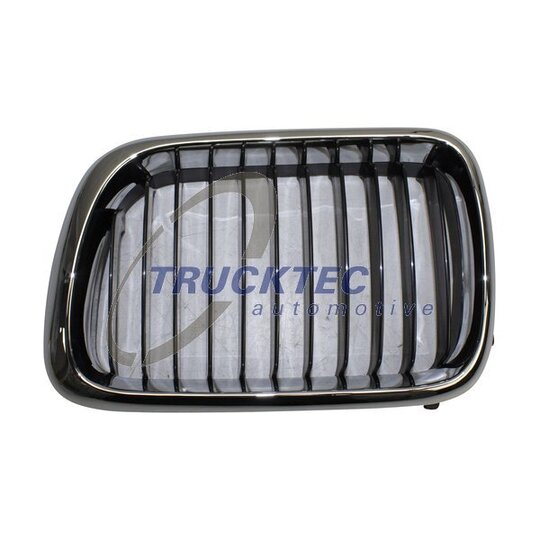 08.62.228 - Radiator Grille 