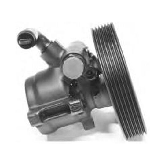 PI1189 - Hydraulic Pump, steering system 