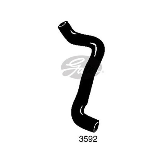 3592 - Radiator Hose 