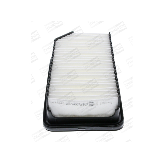 CAF100879P - Air filter 