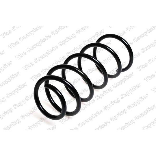 25019 - Coil Spring 