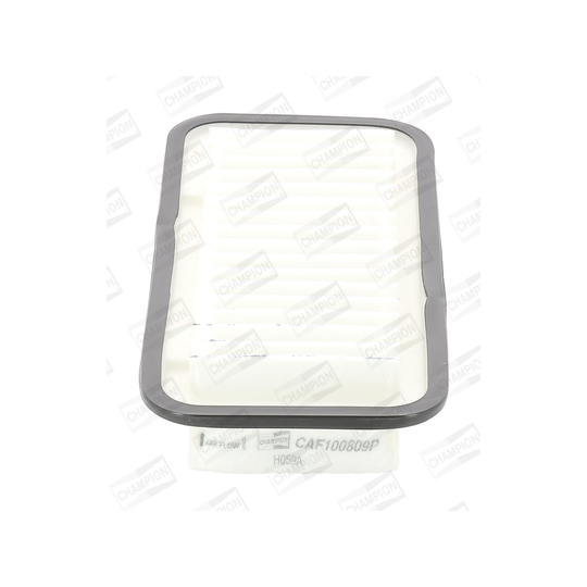 CAF100809P - Air filter 