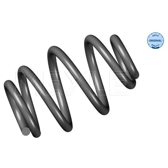 314 739 0000 - Coil Spring 