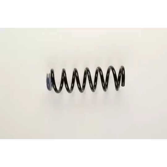 36-219735 - Coil Spring 