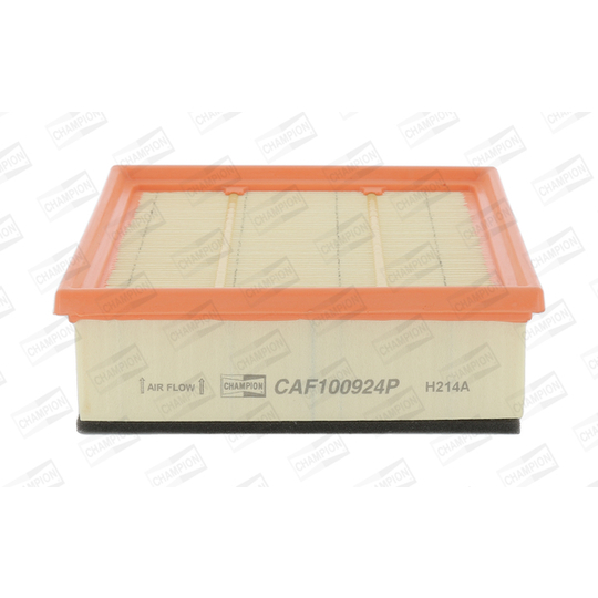 CAF100924P - Air filter 