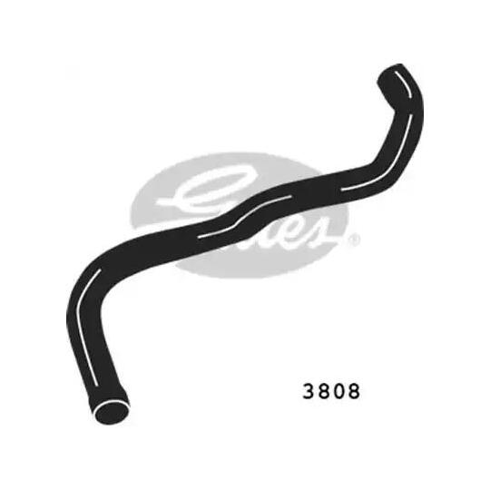 3808 - Radiator Hose 