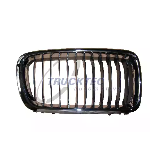 08.62.255 - Radiator Grille 