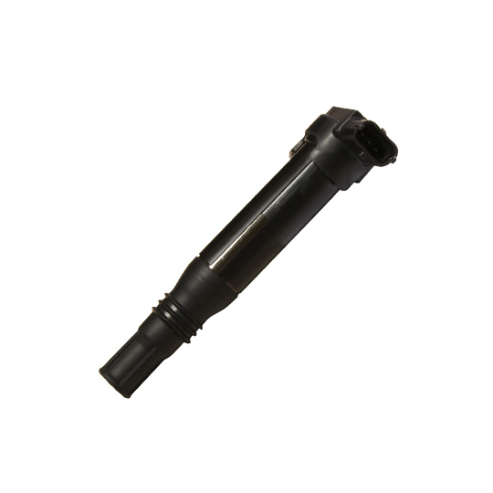 134051 - Ignition coil 