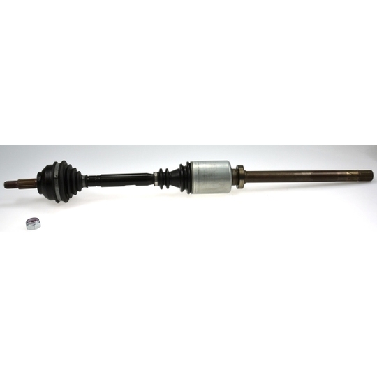 303637 - Drive Shaft 