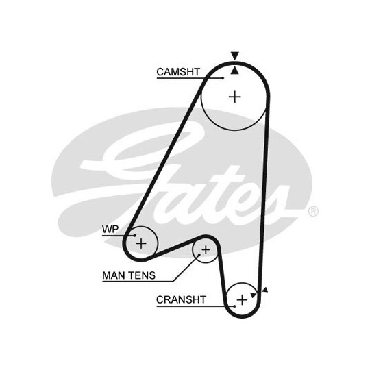 5239 - Timing Belt 