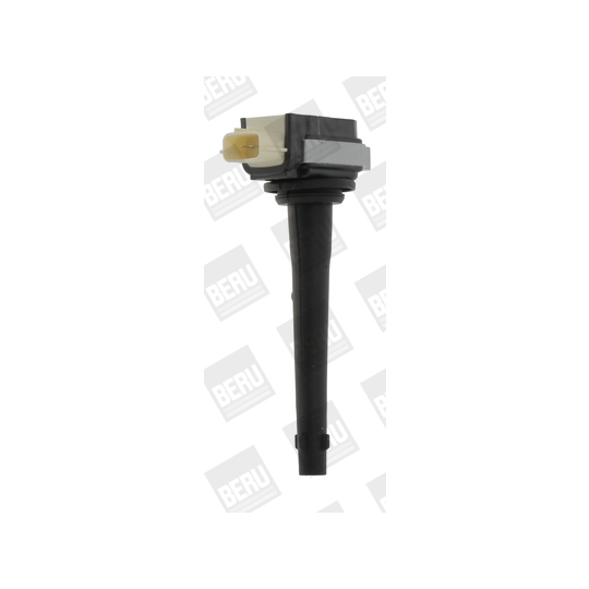ZSE161 - Ignition coil 