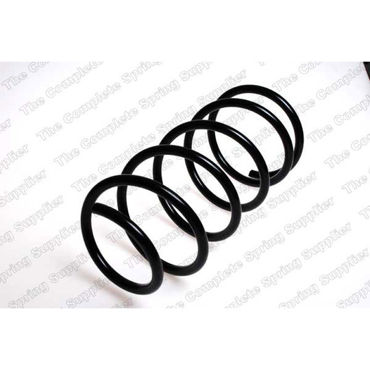 29019 - Coil Spring 