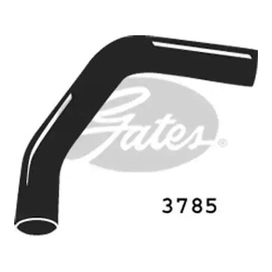 3785 - Radiator Hose 