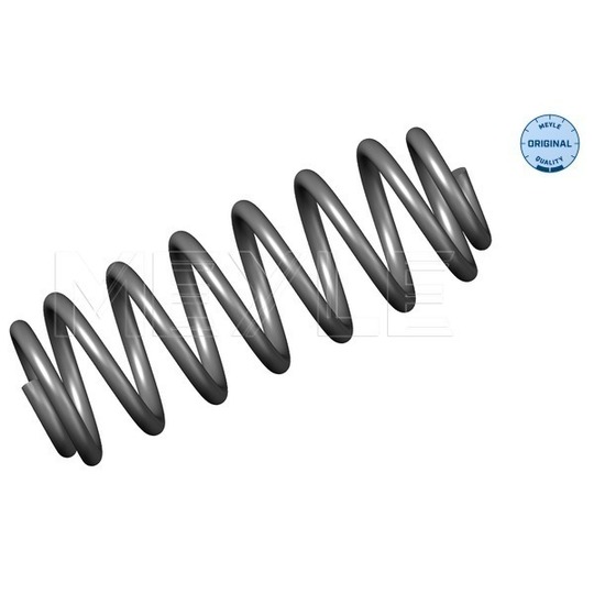 314 739 0010 - Coil Spring 