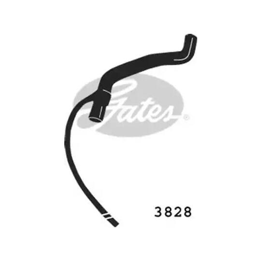 3828 - Radiator Hose 